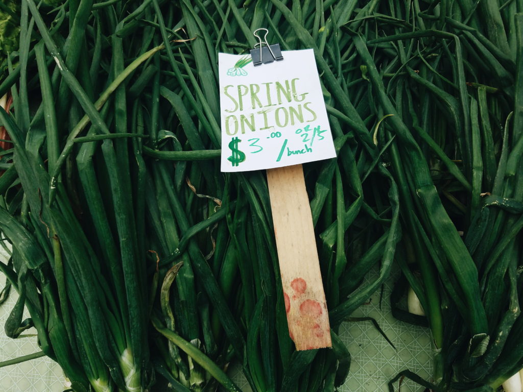 Spring onions at the farmers market. Photo credit: Reana Kovalcik