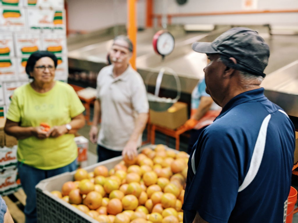 On site at the citrus processing facility of Triple J Organic in McAllen, TX. Photo credit, Reana Kovalcik.