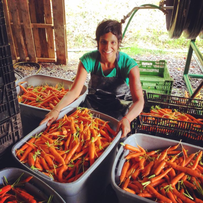 Farmers, Get Your Applications in! COVID-19 Aid Program Closes Next Week