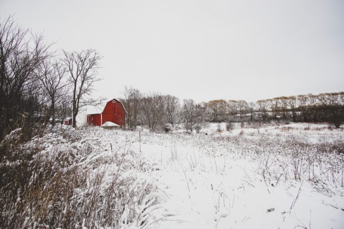 A Year in Review: Wins and Reflections for Sustainable Agriculture in 2021